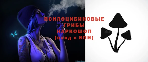 ПСИЛОЦИБИНОВЫЕ ГРИБЫ Аркадак