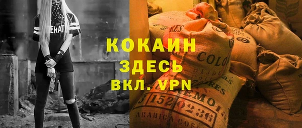 ПСИЛОЦИБИНОВЫЕ ГРИБЫ Аркадак