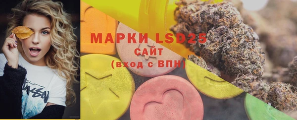 ПСИЛОЦИБИНОВЫЕ ГРИБЫ Аркадак