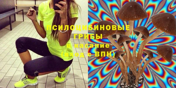 ПСИЛОЦИБИНОВЫЕ ГРИБЫ Аркадак